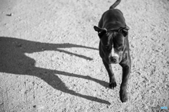 襲われるかも! 襲われるかも!