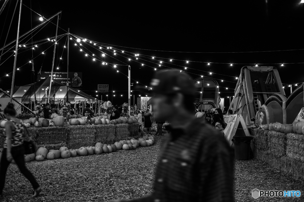 Pumpkin patch