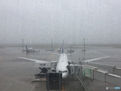 雨の羽田 雨の羽田