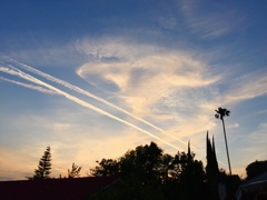 出張前、L.Aにて