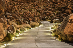 Twilight Rock Garden Drive