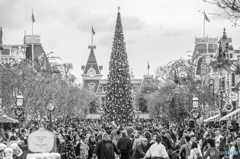 Main Street DL