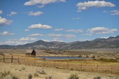 残されたグースたち