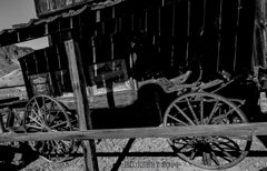 WE CARRY 4U WE CARRY 4U