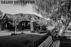 Chuckwagon Chuckwagon