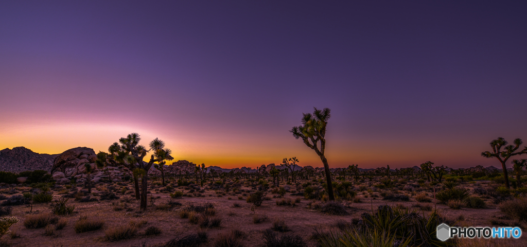 Joshua Tree National Park