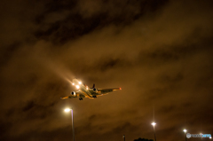 Night Landing (Fedex)