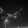 Night Landing Jumbo