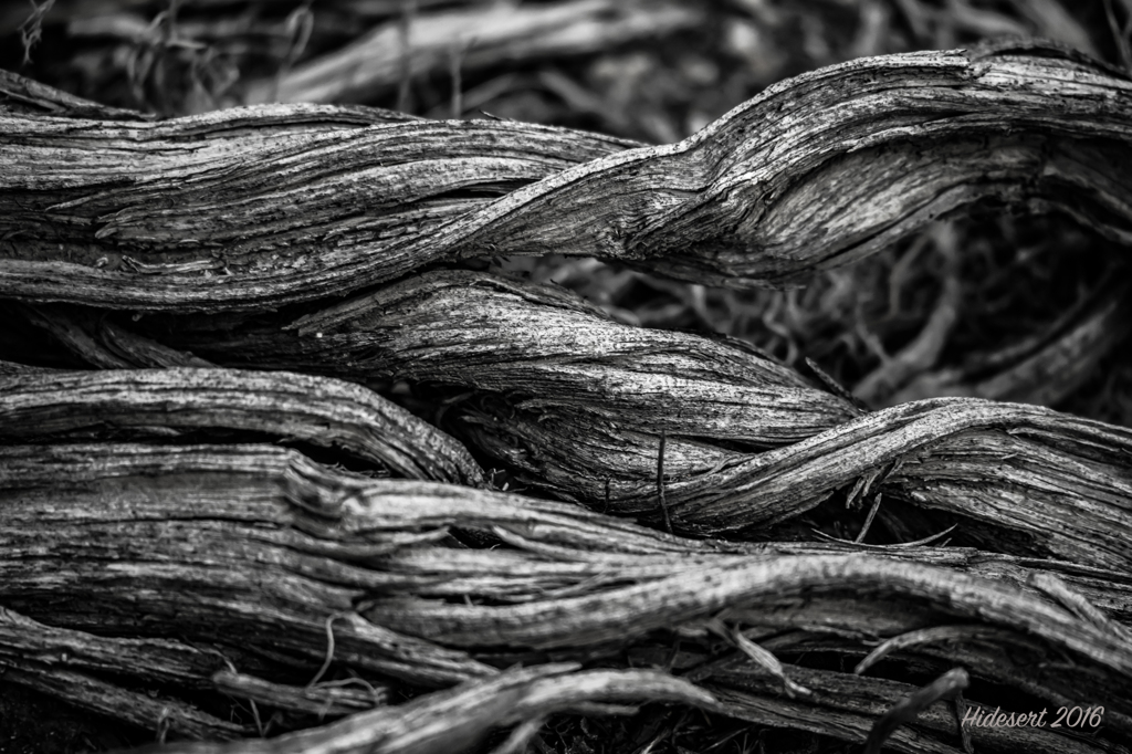 Twisted