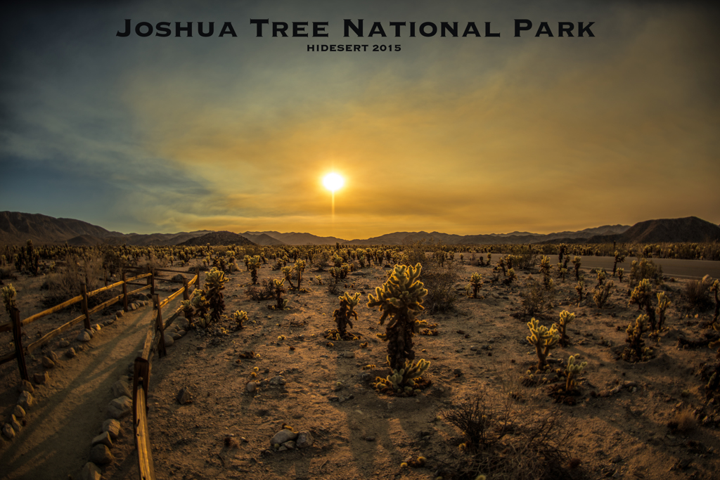 Joshua Tree National Park