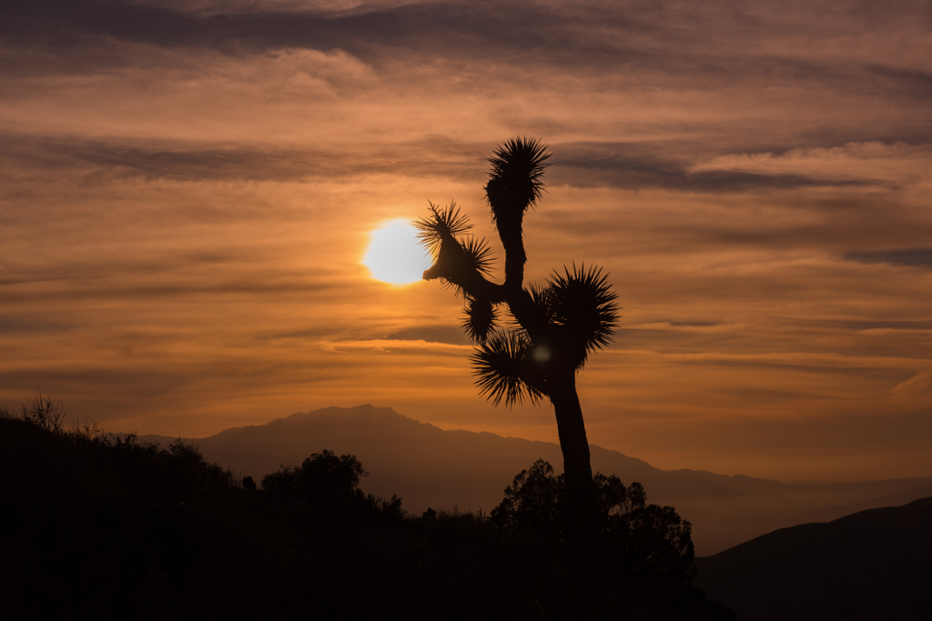 Silhouette