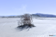 白昼のDry Lake