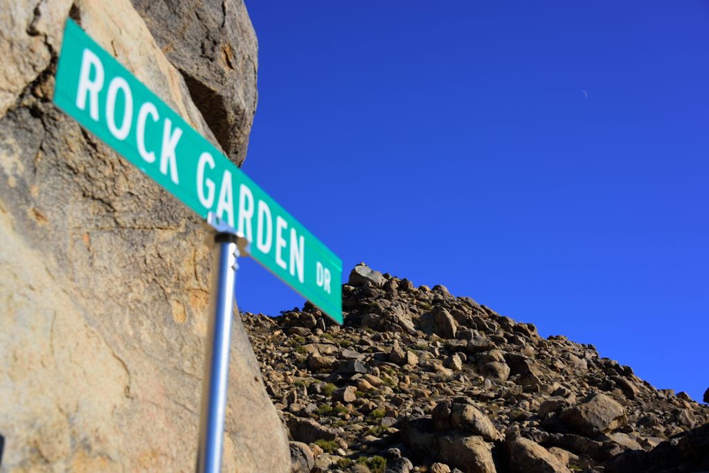 Frog Rock