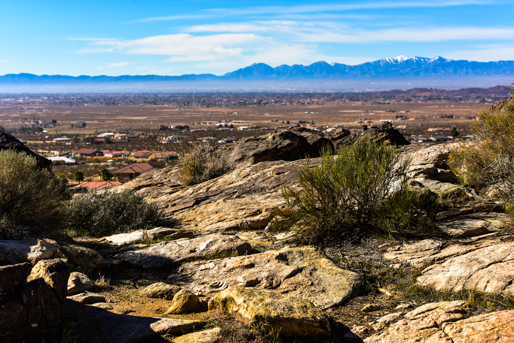Landscape