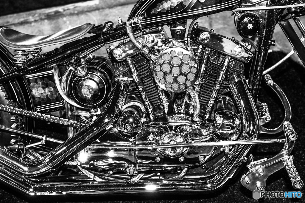 Custom Bike