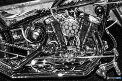 Custom Bike