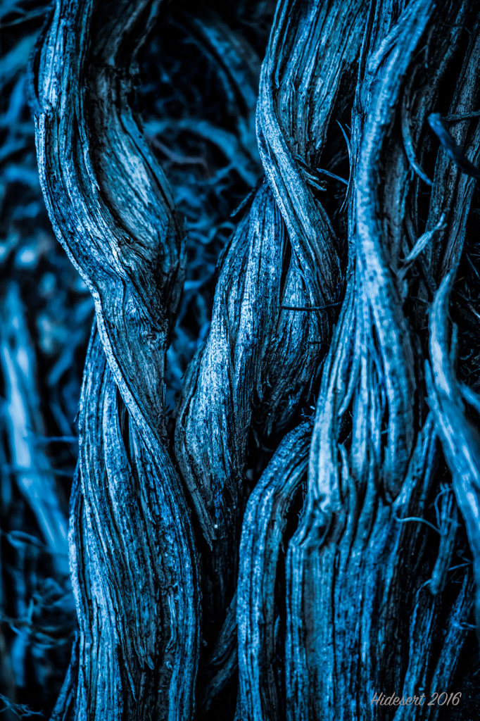 Twisted 流