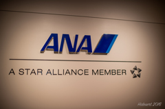 東京国際空港 東京国際空港