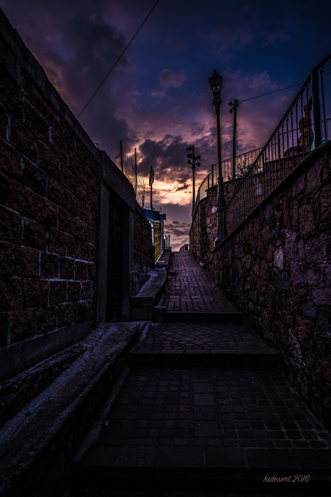 Don't Look Back 