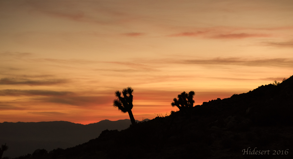 Wild West