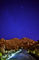 今日のRock Garden Drive 