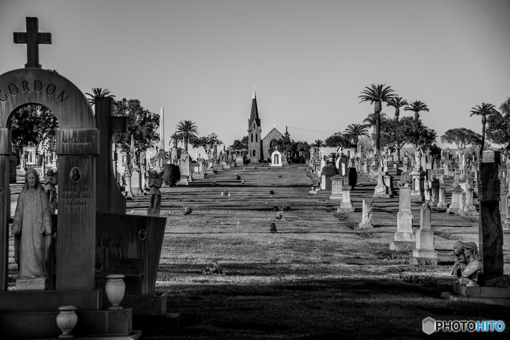 Calvary Cemetery2