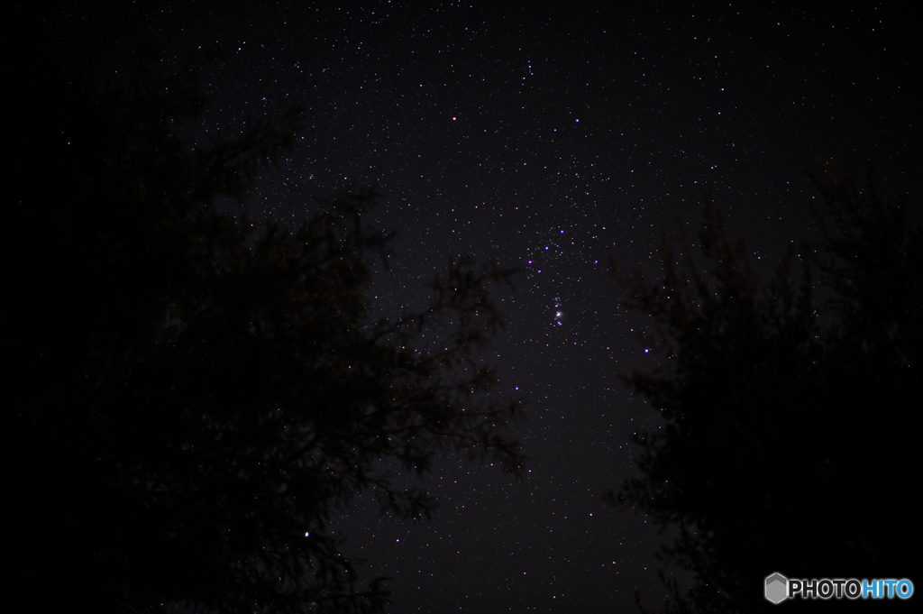 冬の夜空