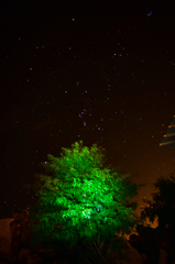Green With Universe