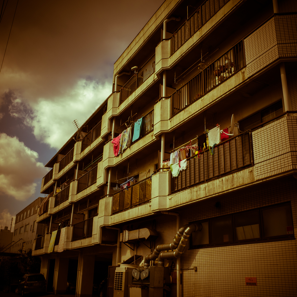 camucamu_20140307_13