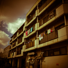 camucamu_20140307_13