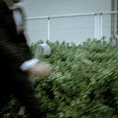 camucamu_20141125_148