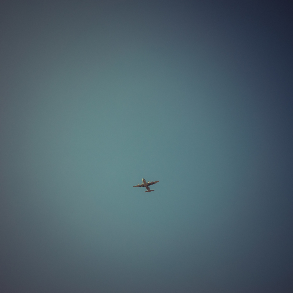 camucamu_20140316_25