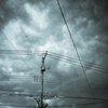 camucamu_20140405_53