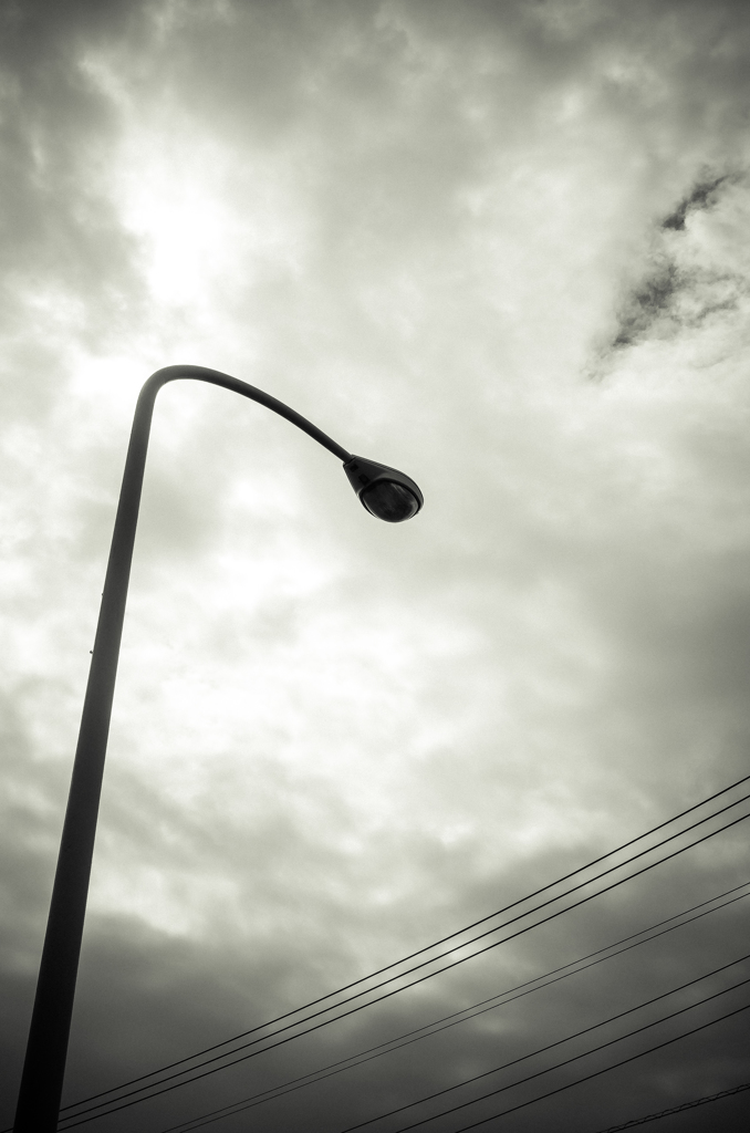 camucamu_20140326_44