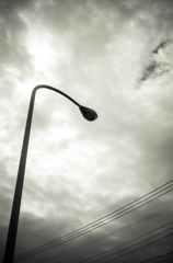 camucamu_20140326_44