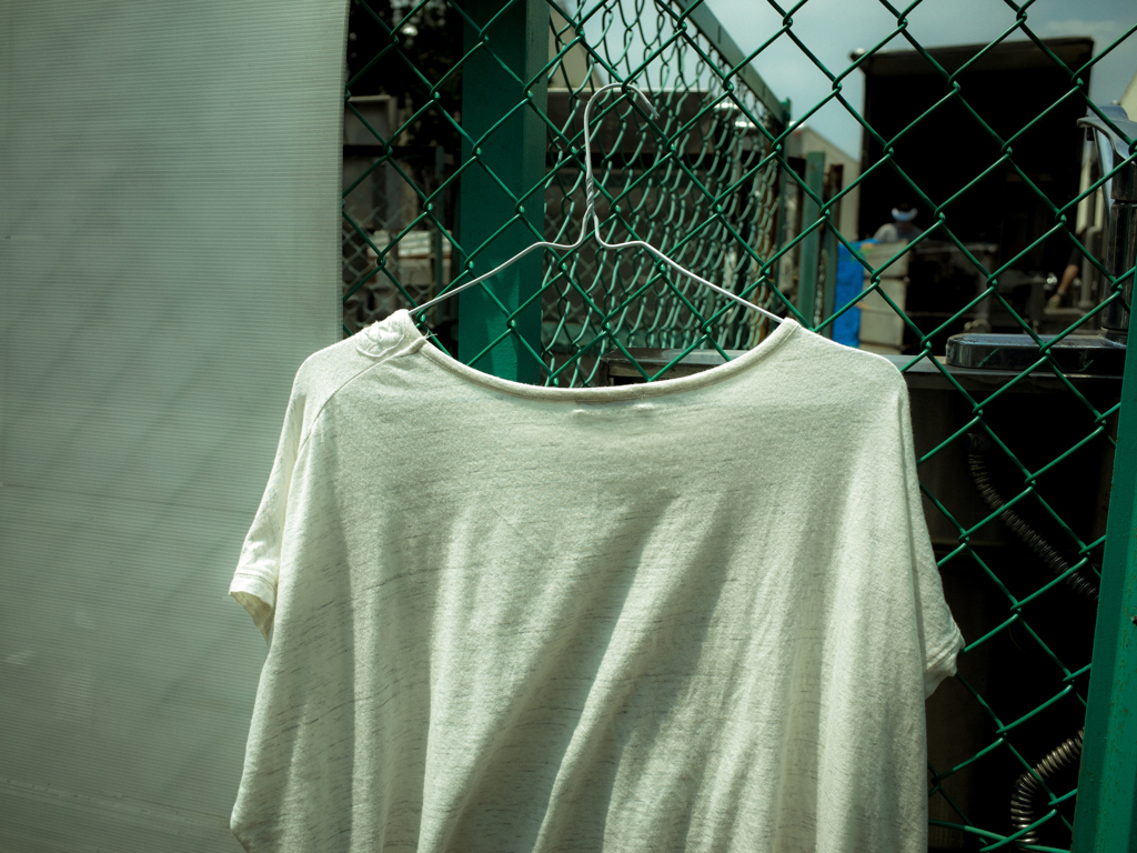 camucamu_20140731_82