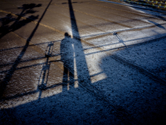 camucamu_20141207_03
