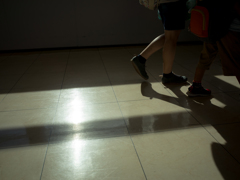 camucamu_20140817_92