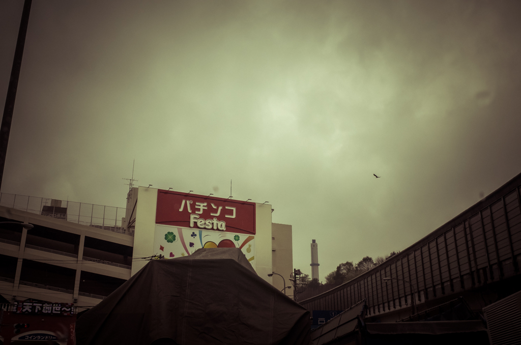 camucamu_20140403_50