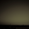 camucamu_20141219_05