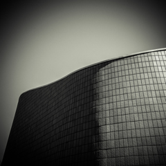 camucamu_20140311_18