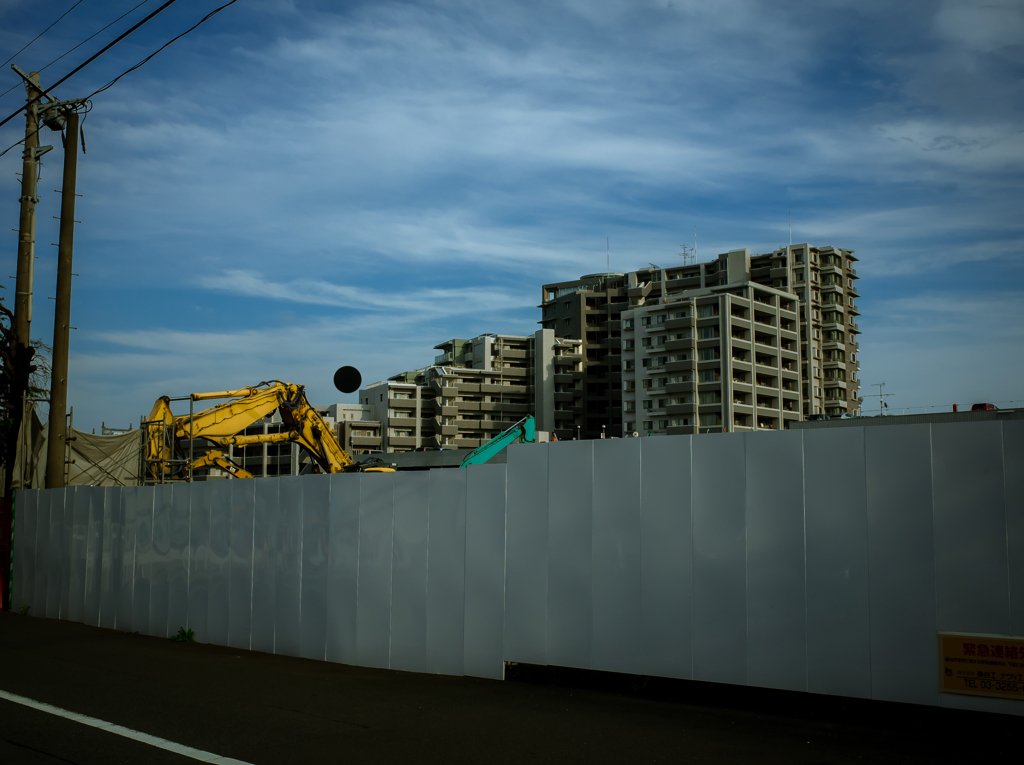 camucamu_20140916_102