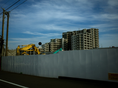 camucamu_20140916_102