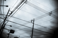 camucamu_20141031_129