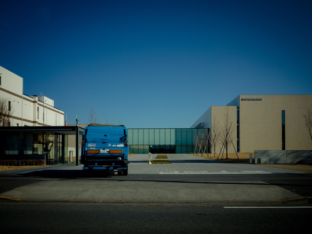 camucamu_20141208_01