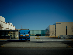 camucamu_20141208_01