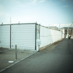 camucamu_20141209_01