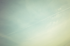 camucamu_20140331_48
