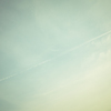 camucamu_20140331_48