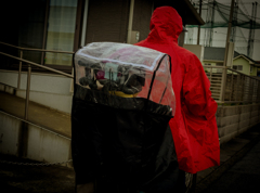 camucamu_20141015_123